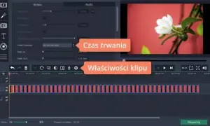 Jak zrobić film poklatkowy ze zdjęć - proste kroki i triki edycyjne