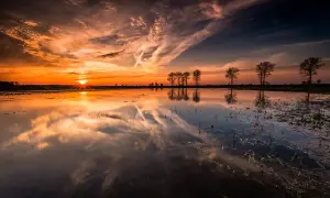 Jak zrobić ostre zdjęcia: proste triki na wyraźne fotografie
