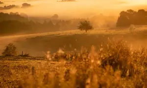 Fotograf jak zacząć - proste kroki do udanej fotografii dla każdego