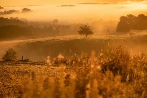 Fotograf jak zacząć - proste kroki do udanej fotografii dla każdego