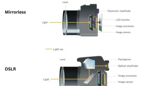 Schemat porównuje budowę bezlusterkowców i lustrzanek. W bezlusterkowcach światło trafia prosto na sensor, w lustrzankach odbija się od lustra.