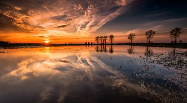 Jak zrobić ostre zdjęcia: proste triki na wyraźne fotografie