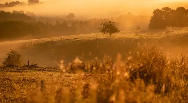 Fotograf jak zacząć - proste kroki do udanej fotografii dla każdego