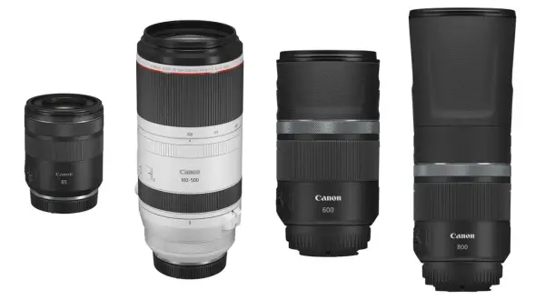Cztery obiektywy Canon: 85mm, 100-500mm, 600mm i 800mm. Zestaw do fotografii tele, gdzie każdy obiektyw działa jak telekonwerter, przybliżając odległe obiekty.