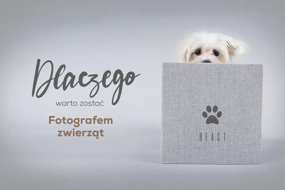 Ile zarabia fotograf zwierzęcy? Zaskakujące fakty o wynagrodzeniu